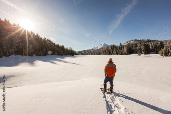 Obraz Take it all in