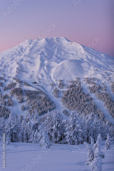 Obraz ski resort in winter