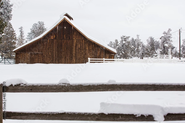 Obraz barn in winter