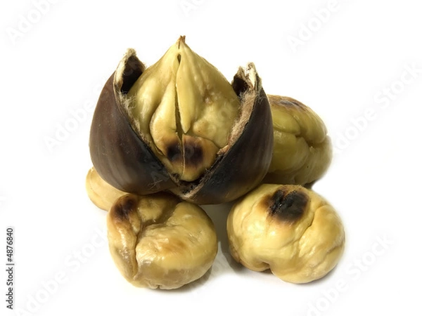 Obraz chestnuts