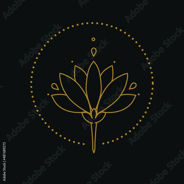 Fototapeta golden lotus on a black background, a stylized flower from the lines, vector illustration