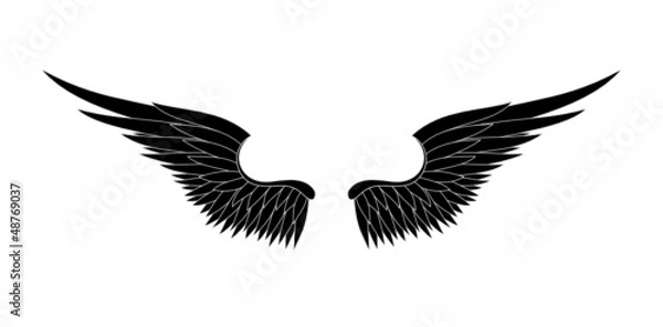 Obraz black wings vector