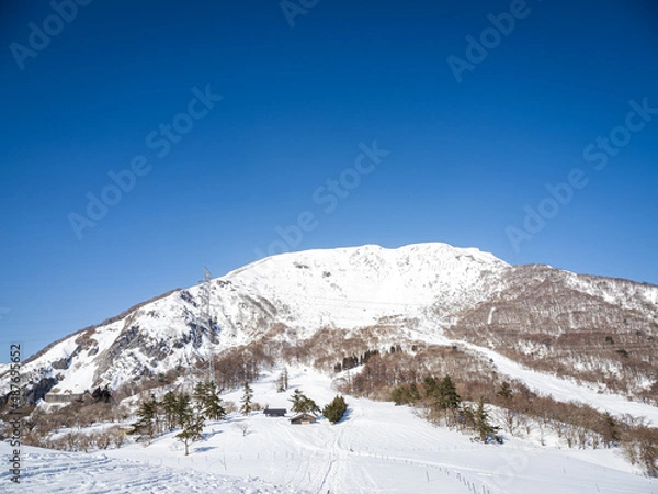 Obraz 伊吹山三合目付近から見上げた景色
