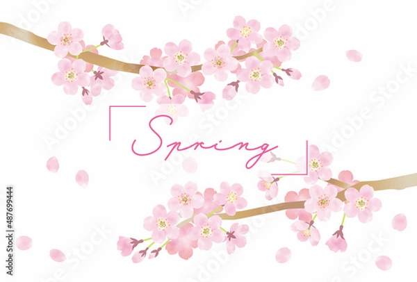 Obraz 春に咲くさくらの花と舞い散る花びらのベクター