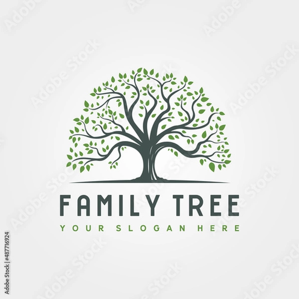 Fototapeta abstract root tree logo vector illustration design, family tree logo design