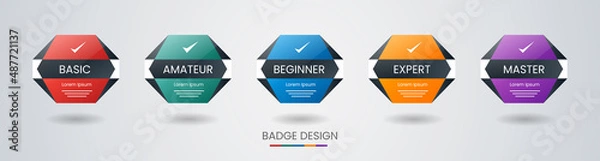 Fototapeta Set of bundle modern and simple colorful certified badge label logo design for Verification Standard, Business Quality Banner, Company Training Certificates, and Certified Product. Vector Illustration