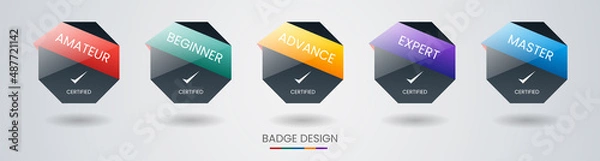 Fototapeta Set of bundle modern and simple colorful certified badge label logo design for Verification Standard, Business Quality Banner, Company Training Certificates, and Certified Product. Vector Illustration