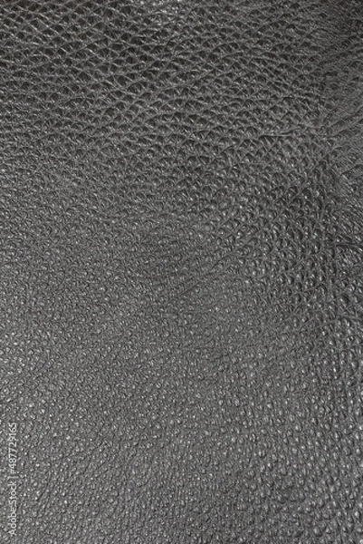 Fototapeta the texture of natural aniline leather of the highest quality of dressing