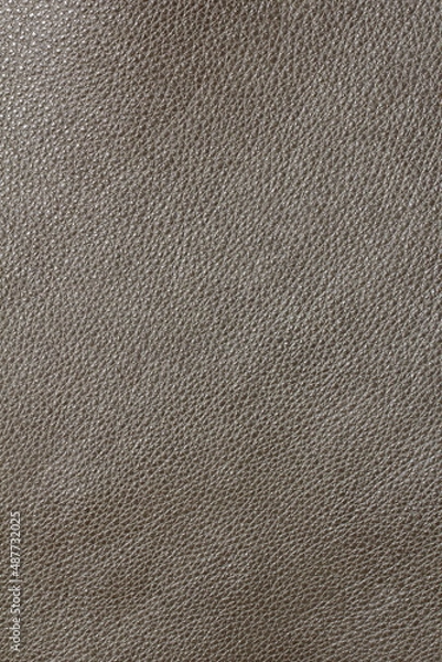 Fototapeta the texture of natural aniline calfskin of the highest quality