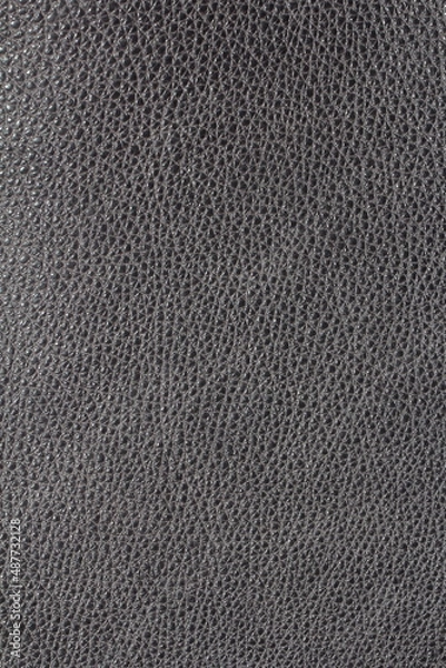 Fototapeta the texture of natural aniline calfskin of the highest quality