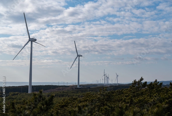 Fototapeta 並ぶ風車