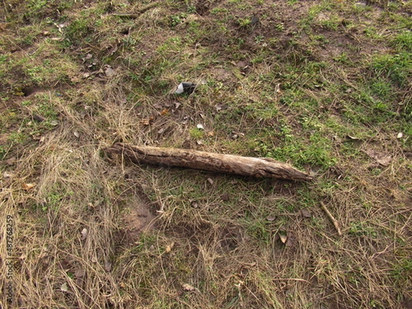 Obraz Holzstück am Boden