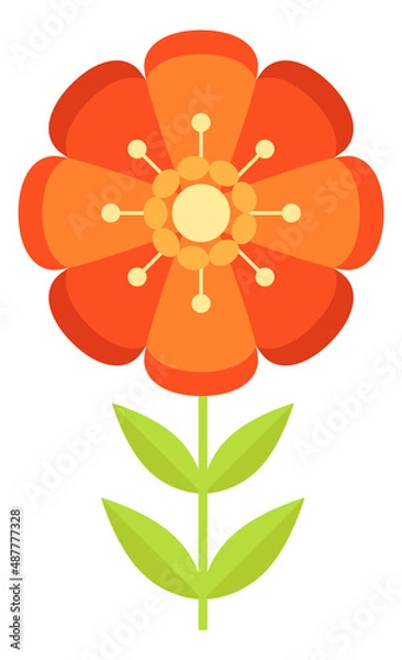 Fototapeta Summer red flower. Bright floral ornament element