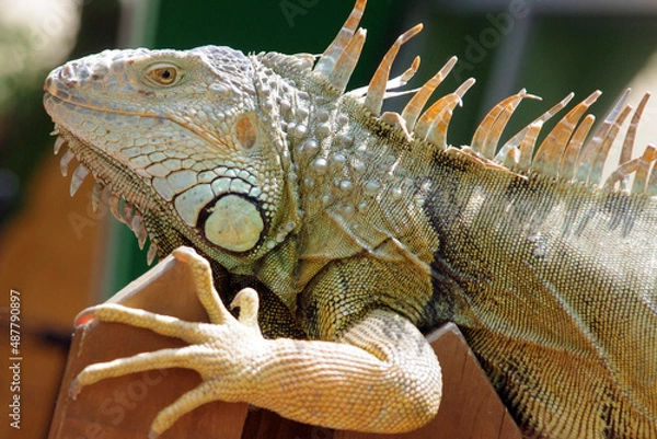 Fototapeta 熊本にて