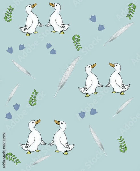 Fototapeta duck white feather pattern 