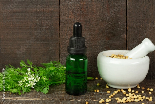 Fototapeta Coriander Essential Oil in bottle and coriander seeds on white mortar and pestle with branch and flower on rustic wooden background.