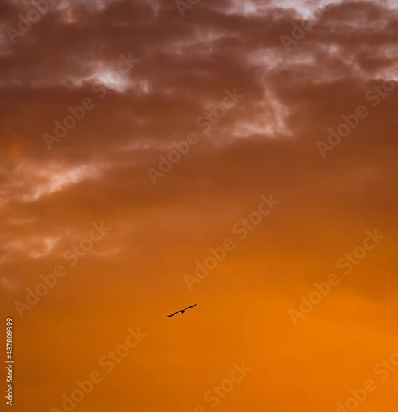 Obraz clouds at sunset