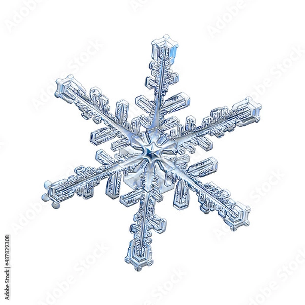 Fototapeta Snowflake isolated on white background. Macro photo of real snow crystal: elegant stellar dendrite with hexagonal symmetry, glossy 3D surface, complex inner details and six flat, fragile arms.
