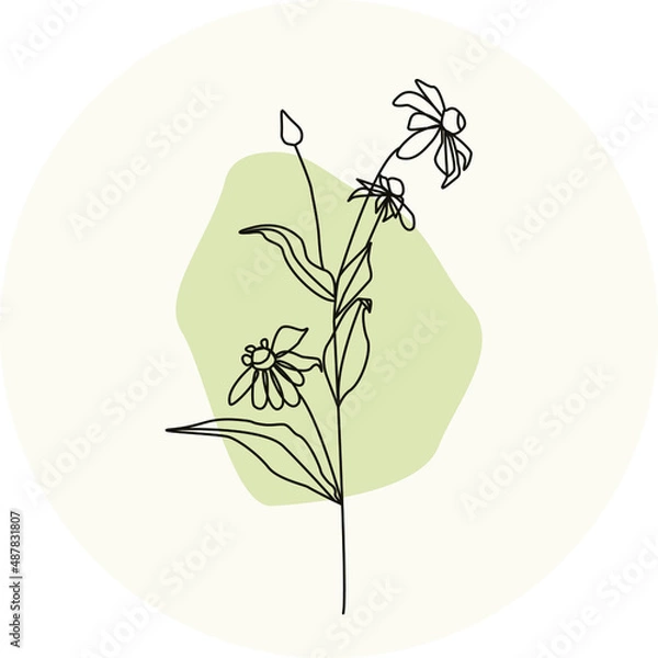 Obraz chamomile flower icon in circle