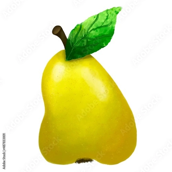 Fototapeta pear with leaf