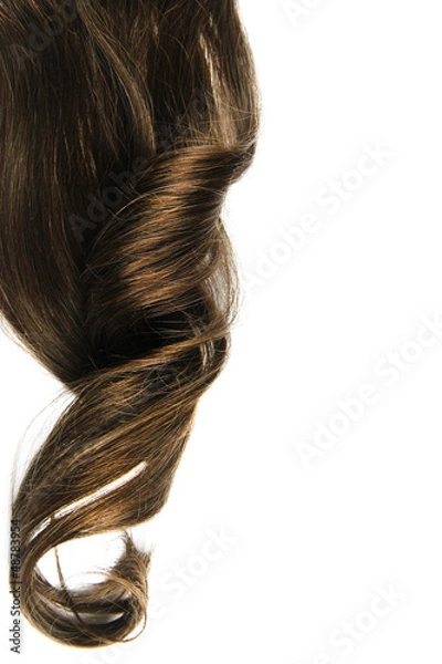 Obraz Long brown curl isolated