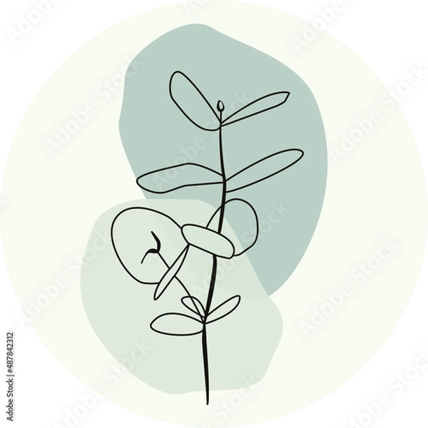 Obraz eucalyptus branch icon in circle