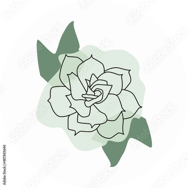 Obraz rose icon in circle