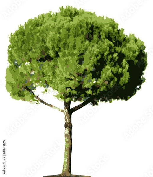 Fototapeta Tree