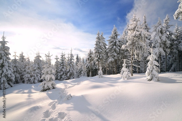 Obraz Fairy tal-like winter day in the czech mountains beautiful sunset shot