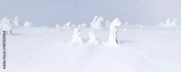 Obraz snow covered spruces on windy hilltop peak - fairy tale figures by nature knight on horse - foggy weather