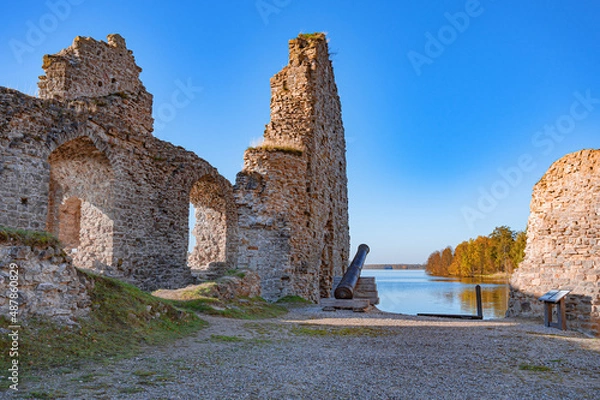 Obraz Castle Ruins Koknese