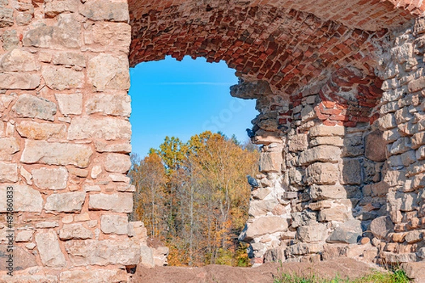 Obraz Ruins element window