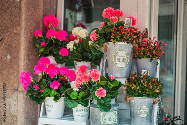 Obraz flowers in a vase