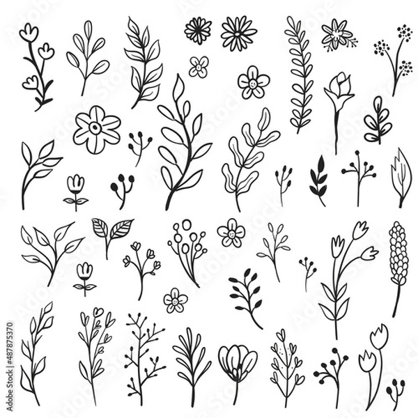 Fototapeta Vector branches and leaves. Hand drawn floral elements. Vintage botanical illustrations. Doodle nature ornaments.