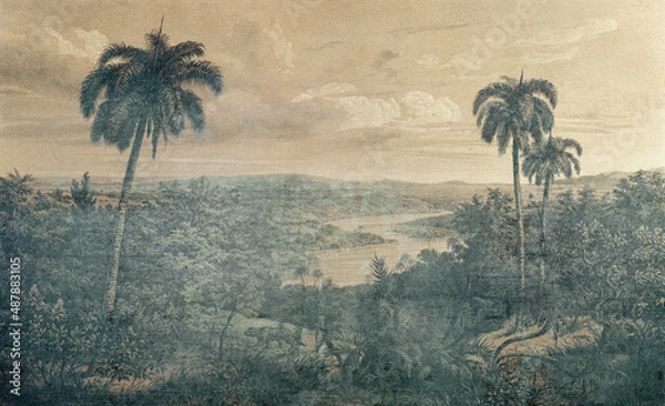 Obraz dżungla w słońcu