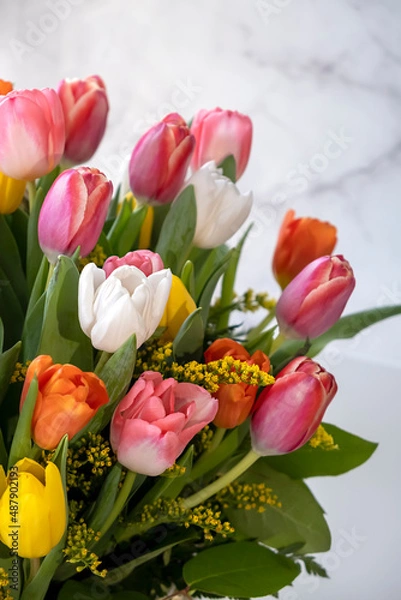 Obraz Fresh, lush bouquet of colorful tulip flowers on white background. Happy birthday, valentines day or womens day of 8 march concept