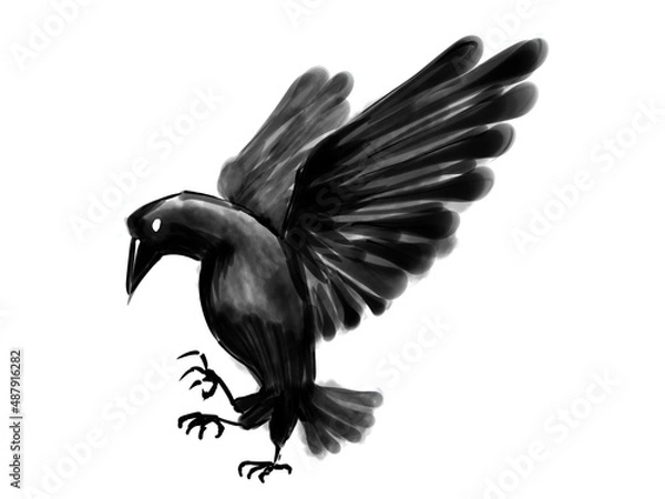 Fototapeta ヤタガラス
