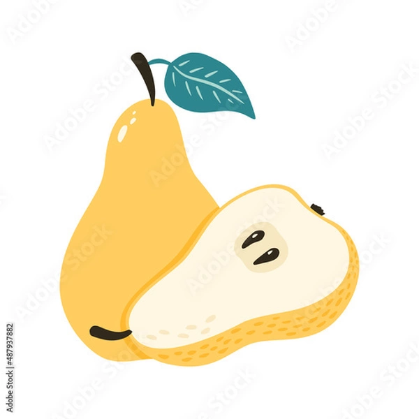 Fototapeta Sweet Ripe Pear with Leaf isolated vector illustration. Cartoon style. One whole fruit and a half with seeds