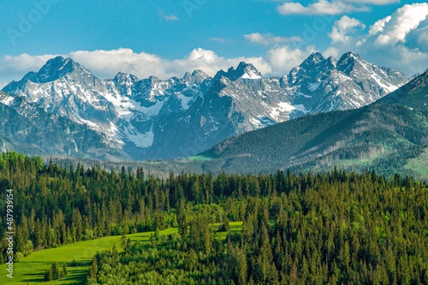 Obraz The Tatras