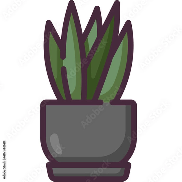 Obraz sansevieria line icon