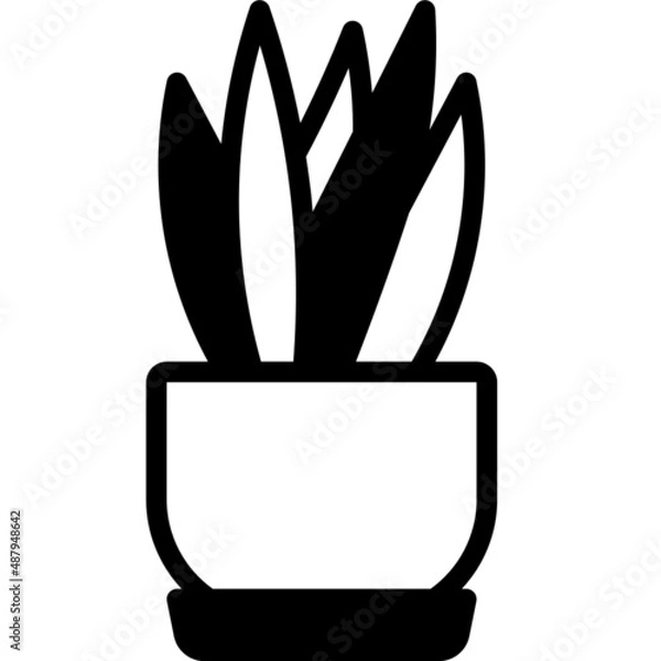 Obraz sansevieria solid line icon