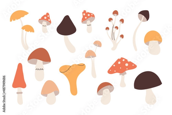 Obraz Collection hand drawn mushroom elements for your design
