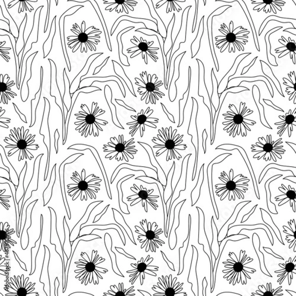 Fototapeta Seamless pattern linear with flowers