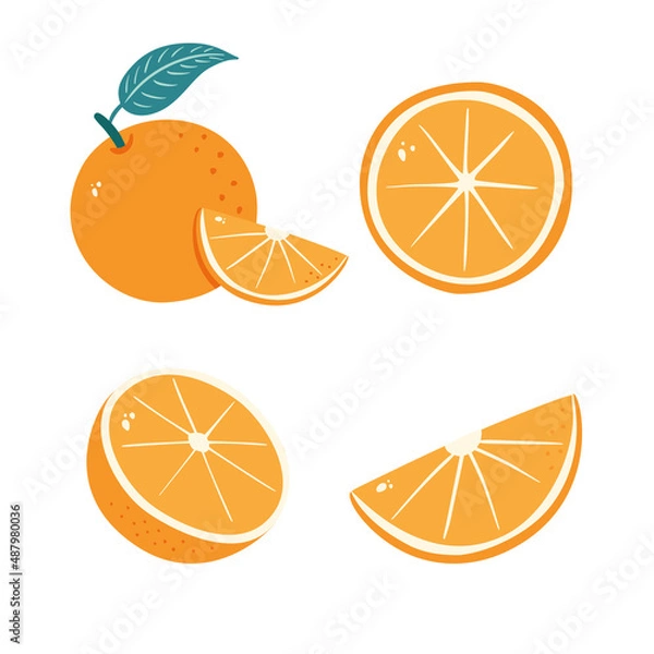 Fototapeta Orange Fruit. Segmented tangerine. Sliced Citrus illustrations Set