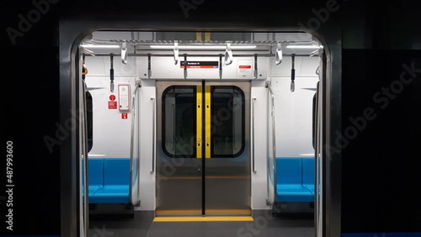 Obraz Opened Train Door