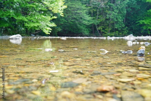 Obraz 山の中の小川