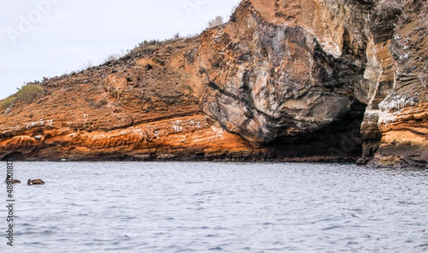 Obraz Steep cliffs reveal the volcanic geology of Caleta Tagus on isabela island in the Galapagos.