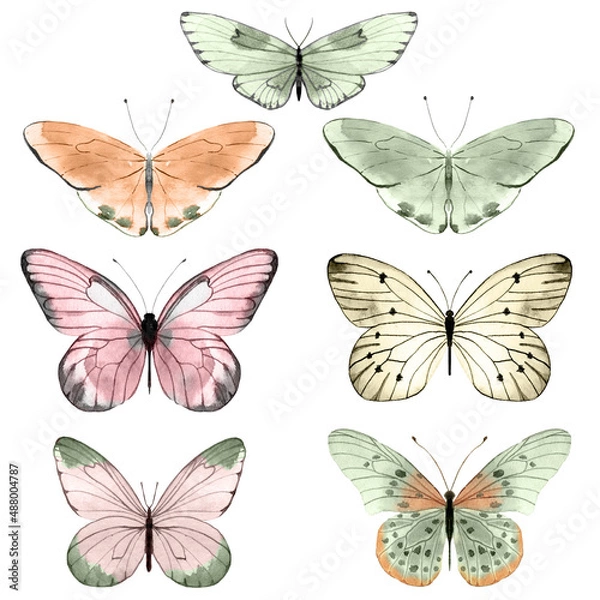 Obraz Collection of watercolor illustrated butterflies