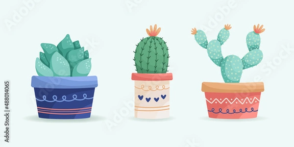 Fototapeta  Set of suculents and cactus. Ceramic pot. Home decor.