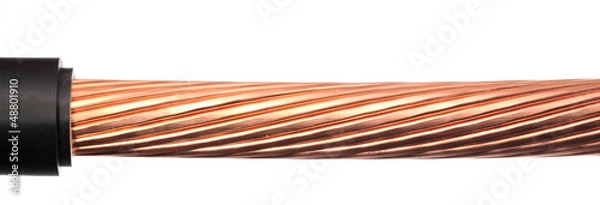 Fototapeta power cable